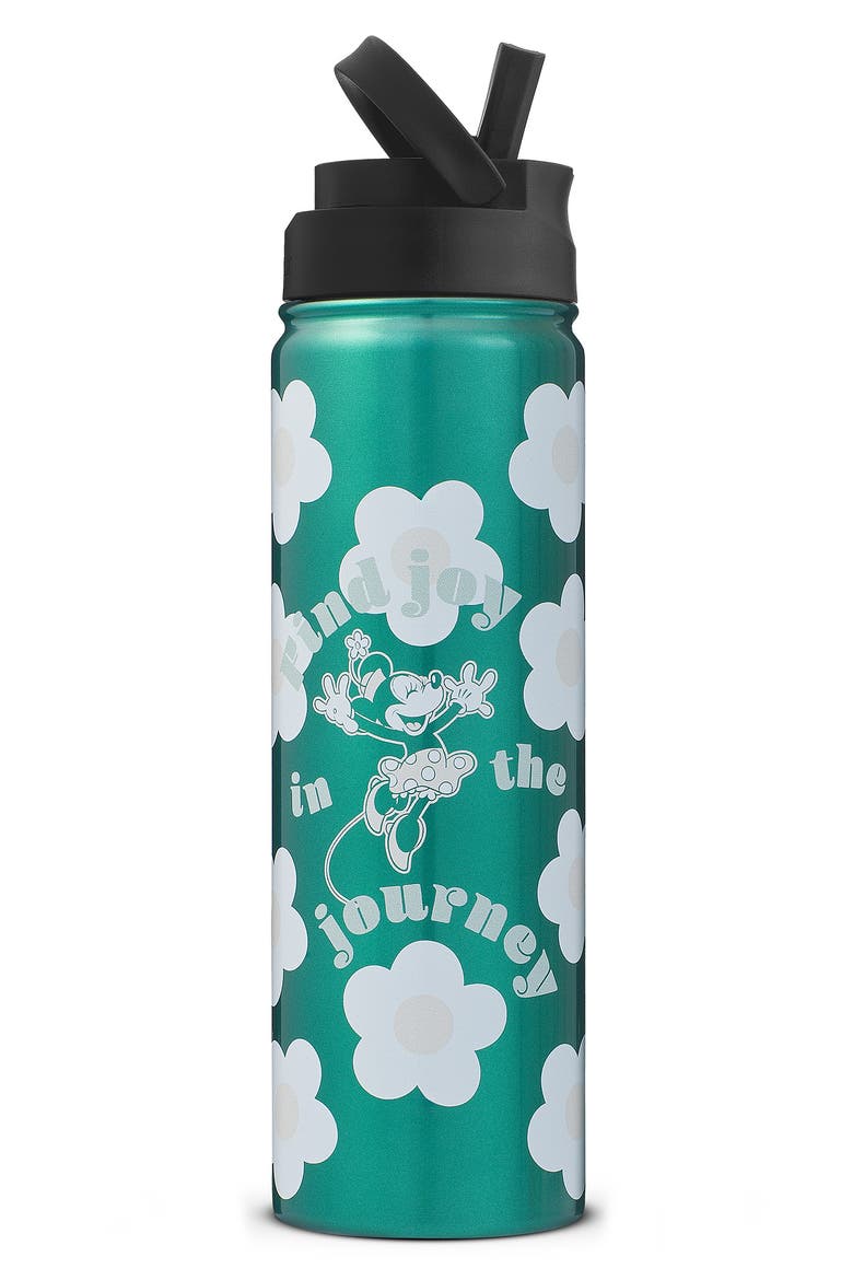 Minnie Mouse 22-Ounce Stainless Steel Water Bottle, Alternate, color, GREEN