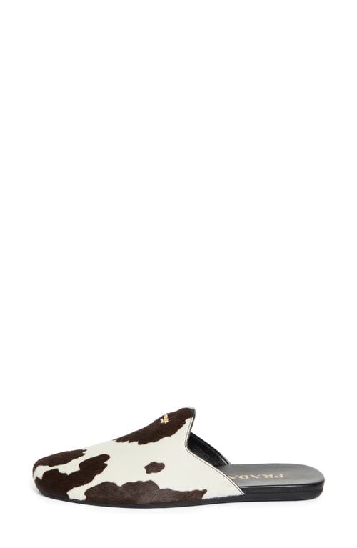 Prada Genuine Calf Hair Mule