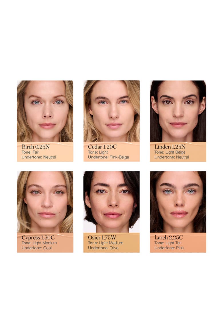 Complexion Perfecting Concealer, Alternate, color, CEDAR