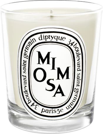 ディプティック　mimosa カルーセル 新品未開封 ディプティック カルーセル＆キャンドル コフレ べ 190G