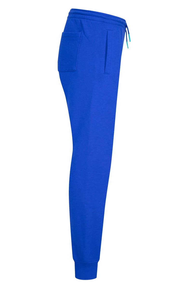 Jordan Kids' Jumpman Baseline Joggers, Alternate, color, U5hhyper R