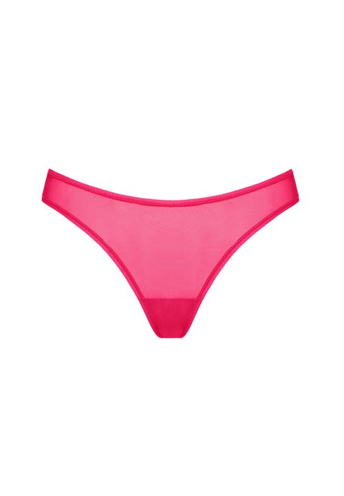Cuup The Bikini In Animal Print