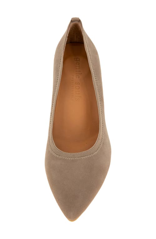 Gentle Souls Dionne Pointed Toe Pump In Brown