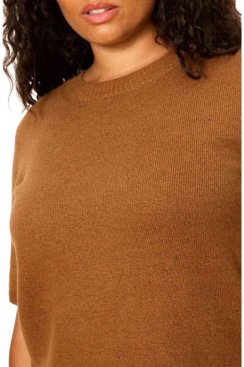 Perfect Short Sleeve Sweater, Alternate, color, COCOA POWDER BROWN