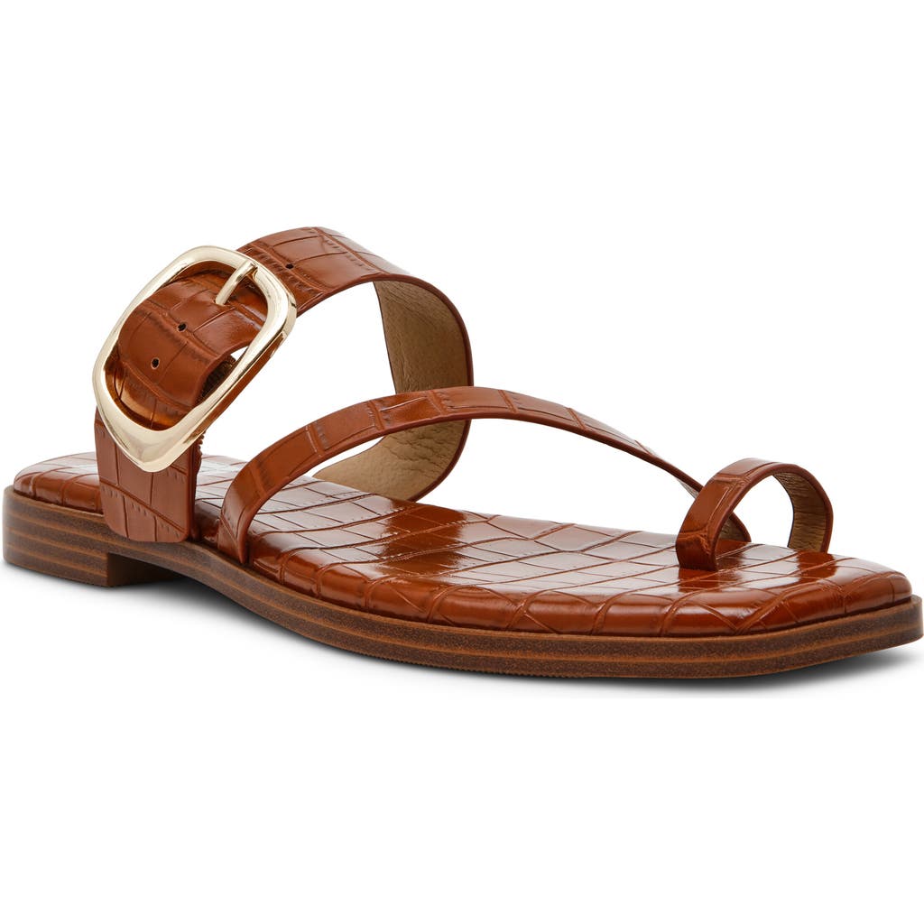 Dolce Vita Dv By Makai Toe Loop Buckle Sandal In Tan