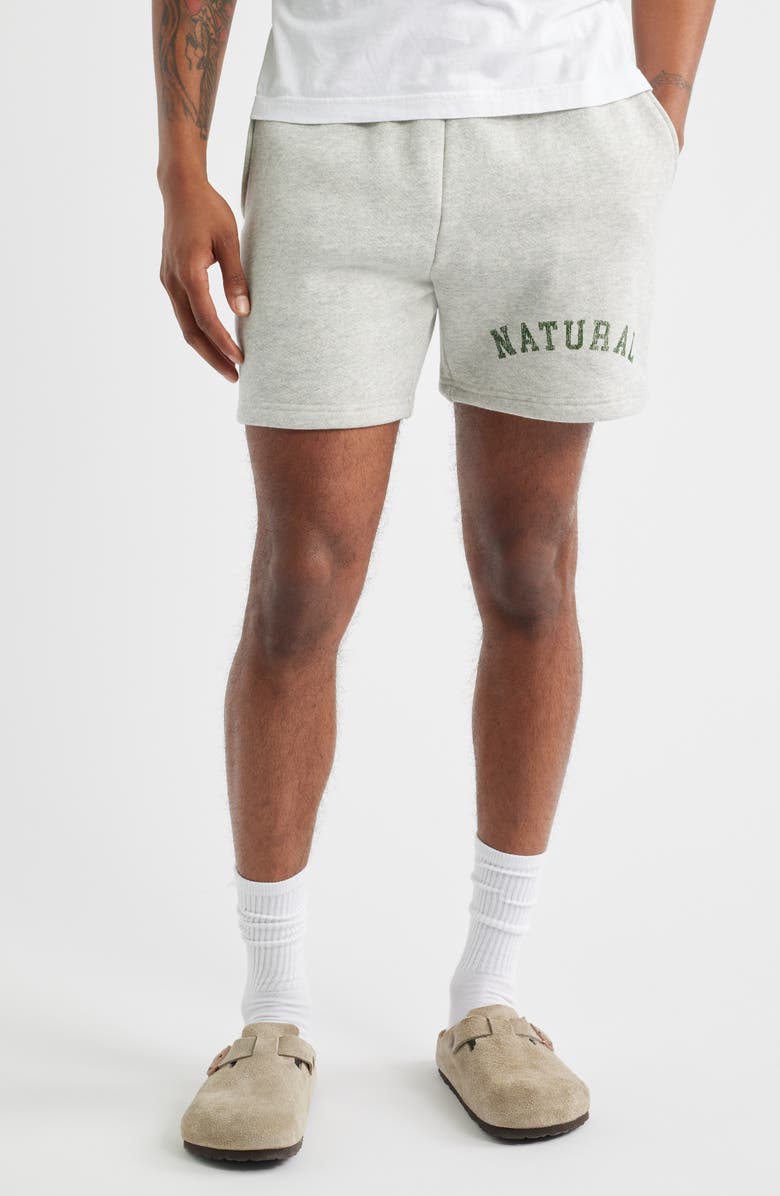 Museum of Peace & Quiet Arch Pigment Dyed Quarter Zip Graphic Sweat Shorts, Main, color, Ash