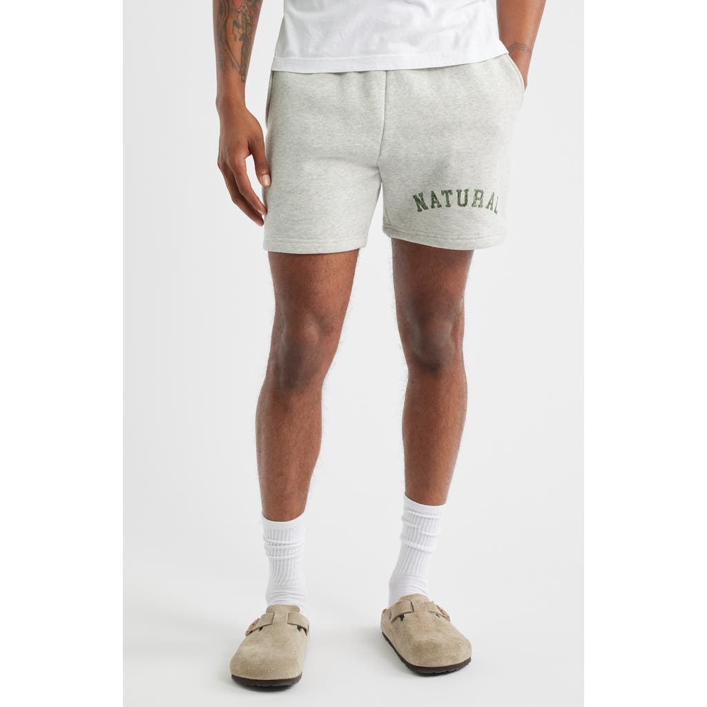 Museum of Peace & Quiet Arch Pigment Dyed Quarter Zip Graphic Sweat Shorts in Ash  product