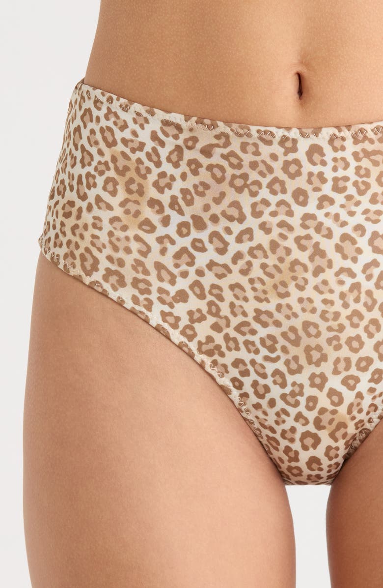 Ramy Brook Dina Leopard Bikini Bottoms, Alternate, color, Light Leopard