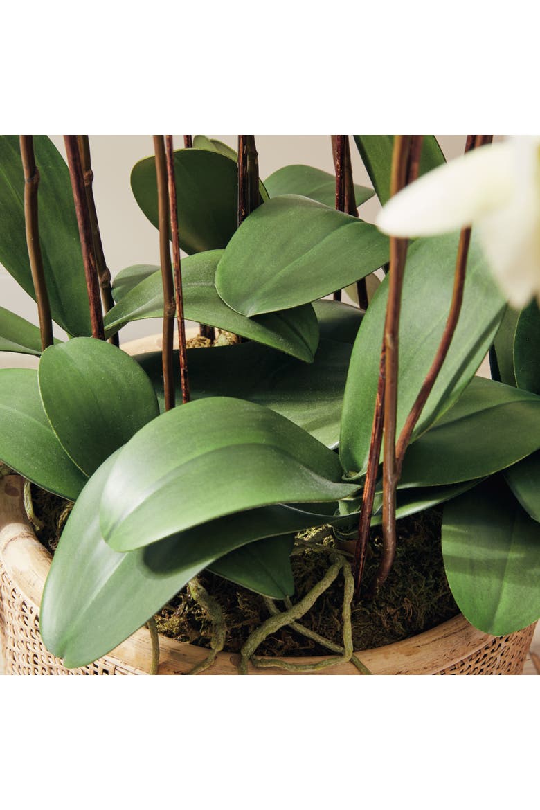 Phalaenopsis Orchid Faux (Fake) Drop-In 36", Alternate, color, White