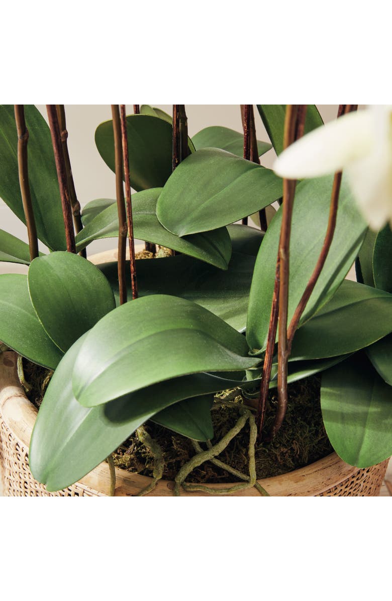 Napa Home & Garden Phalaenopsis Orchid Faux (Fake) Drop-In 36", Alternate, color, White