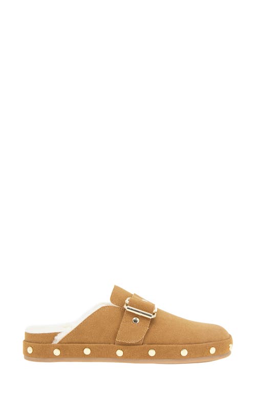 Bcbg Haisley Clog In Brown