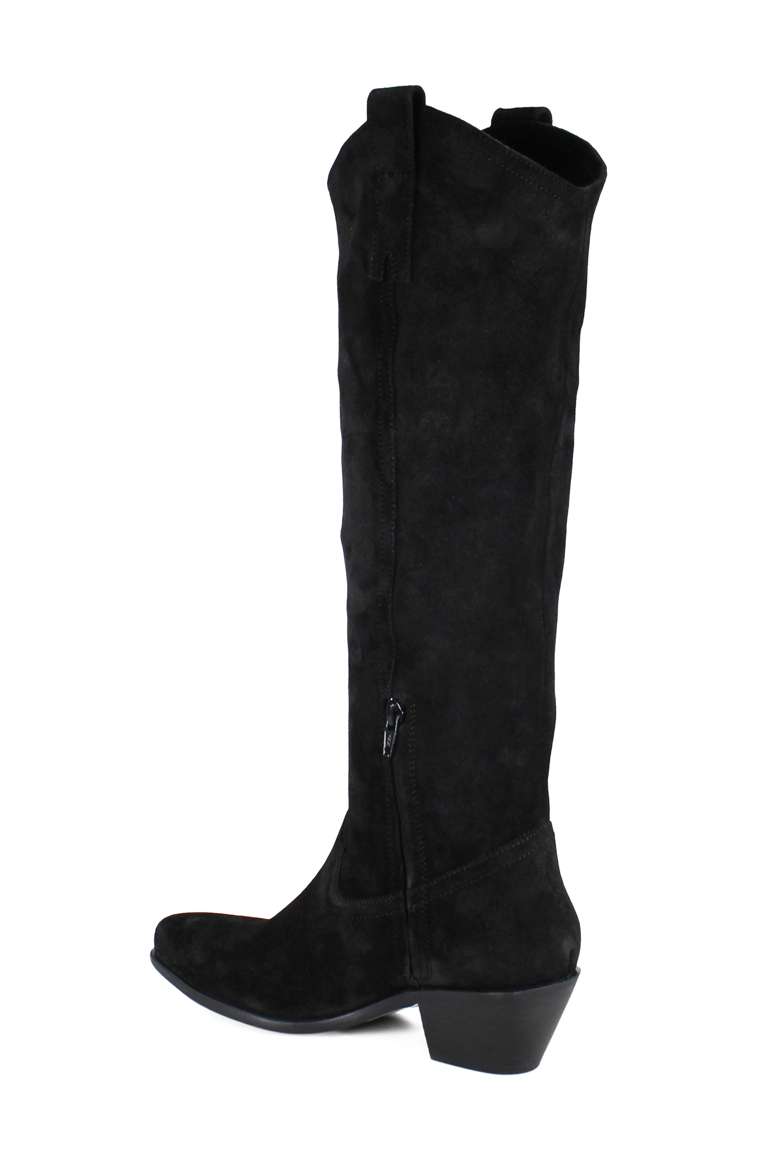 Ame Thyst Leather Tall Boot, Alternate, color, BLACK