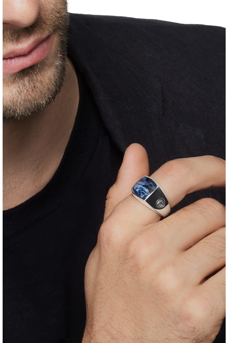 'Exotic Stone' Signet Ring in Silver, Alternate, color, PIETERSITE