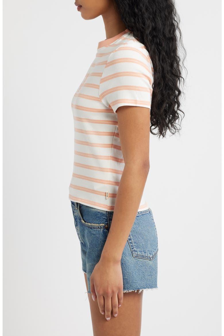 Stripe Embroidered Fitted T-Shirt, Alternate, color, PAPAYA STRIPE