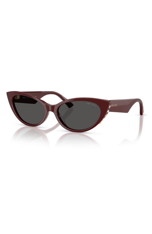 Jimmy Choo 55mm Cat Eye Sunglasses In Red