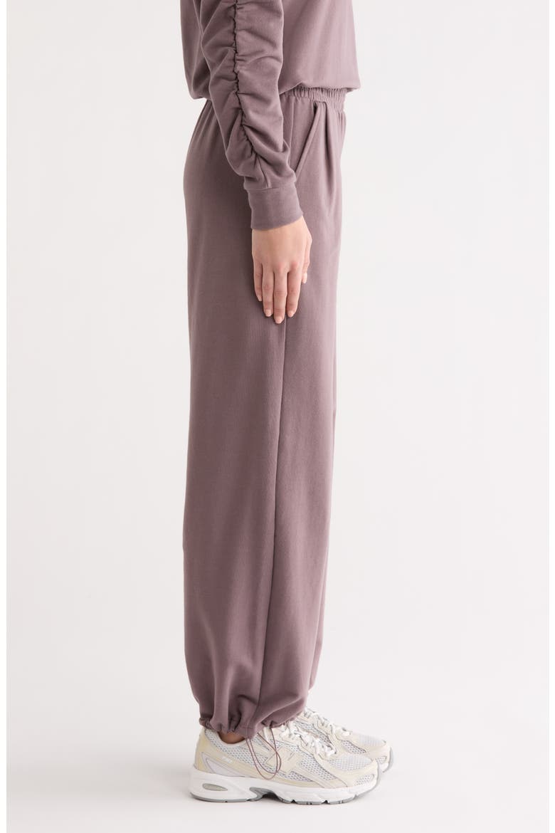 Cinch Cord Hem Sweatpants, Alternate, color, GREY PLUM