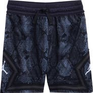 Jordan Sport Diamond Mesh Shorts