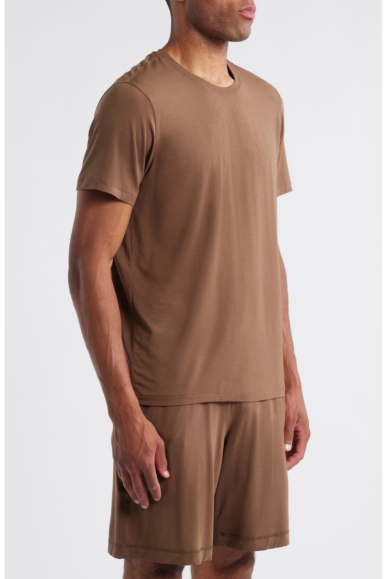 Stretch Modal & Silk Blend Pajama T-Shirt, Alternate, color, CHESTNUT