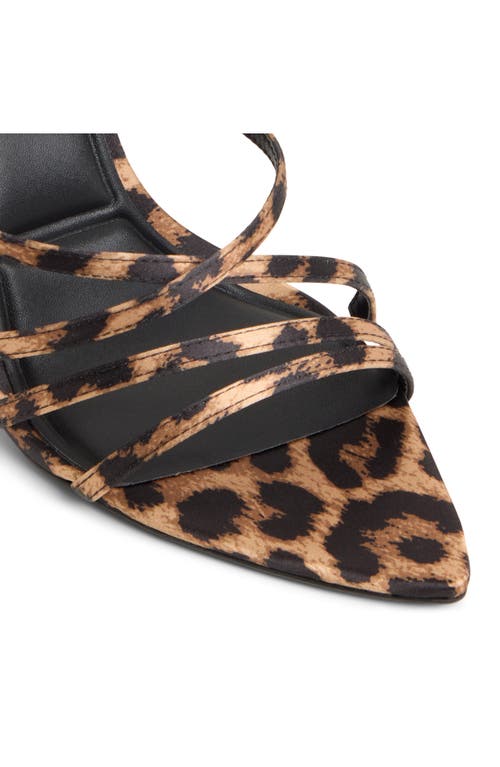 Aldo Solania Ankle Strap Pointed Toe Sandal In Multi
