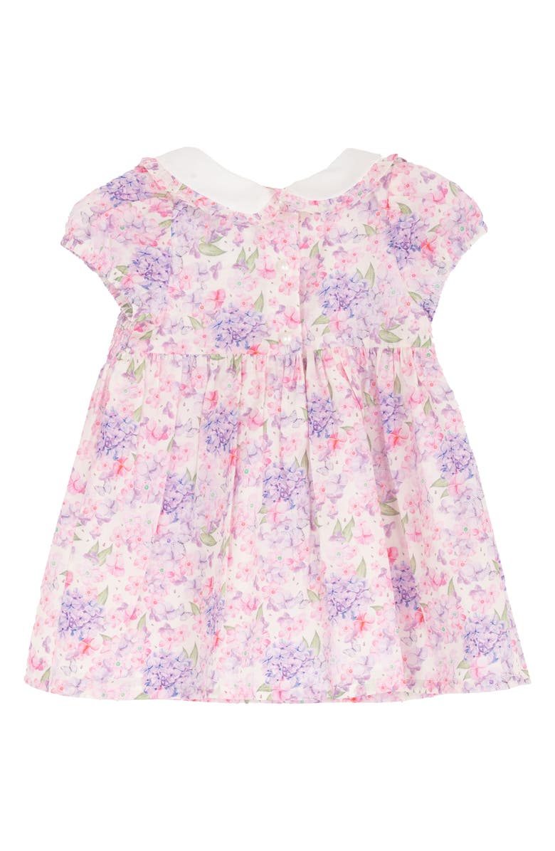 Rare Editions Peter Pan Collar Floral Dress & Bloomers Set, Alternate, color, Purple