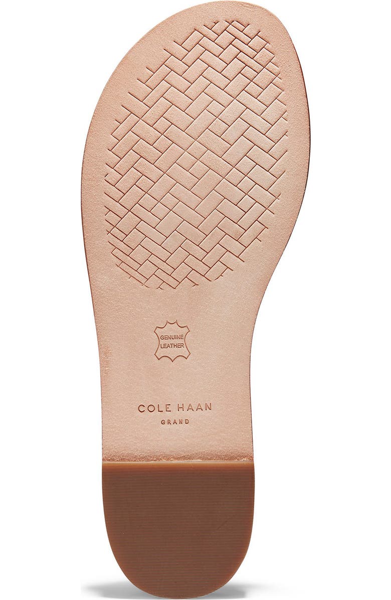 Cole Haan Anoushka Flip Flop, Alternate, color,