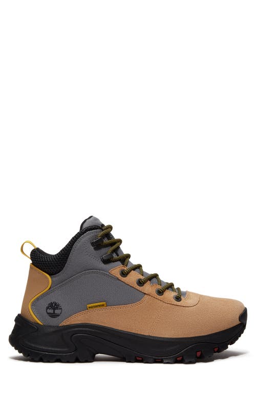 Timberland Mt. Maddsen Waterproof Hiking Boot In Medium Beige Suede