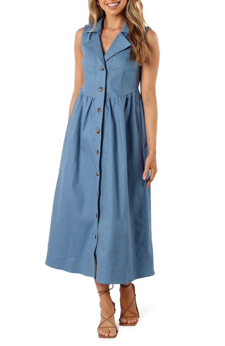 Petal & Pup Sonja Sleeveless A-Line Dress, Main, color, Steel Blue