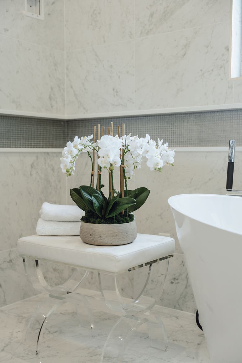 Briar RealTouch Orchid Arrangement, Alternate, color, Snow