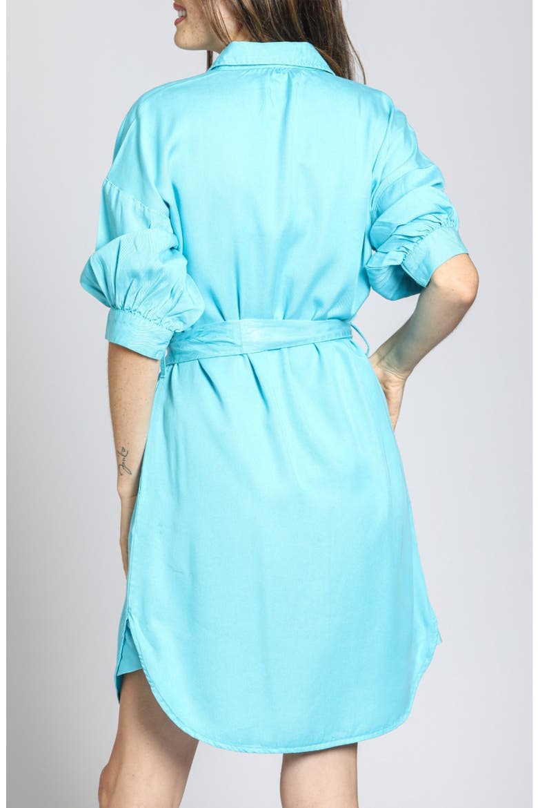 Belted Shirtdress, Alternate, color, CAPRI