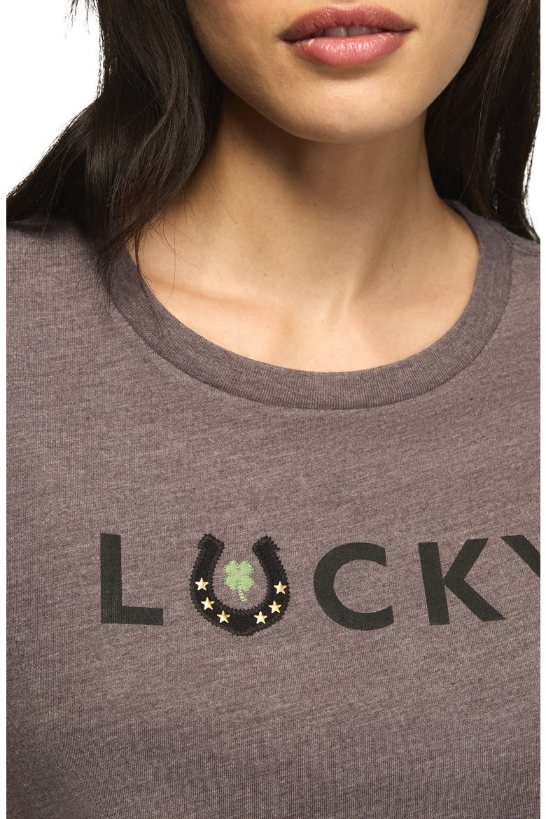 Lucky Horseshoe Appliqué T-Shirt, Alternate, color, RABBIT
