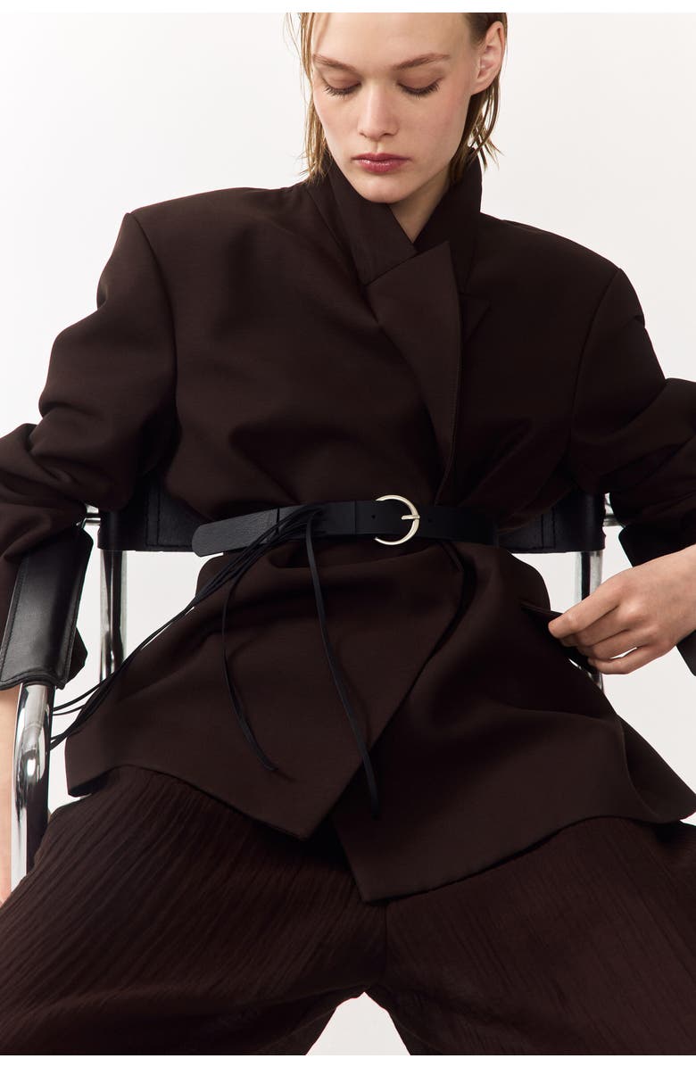 H&M Belted Blazer, Alternate, color, Dark Brown