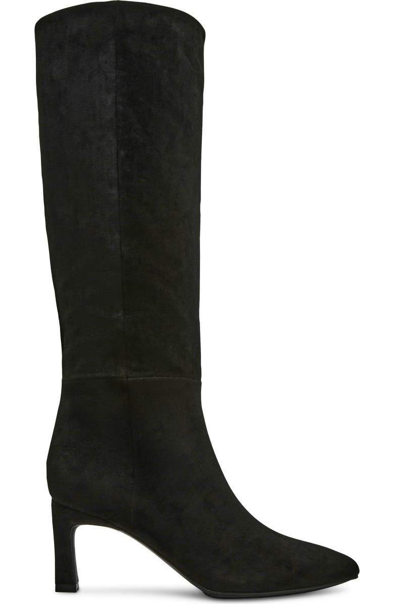 Anne Klein Rene Pointed Toe Knee High Boot, Alternate, color,