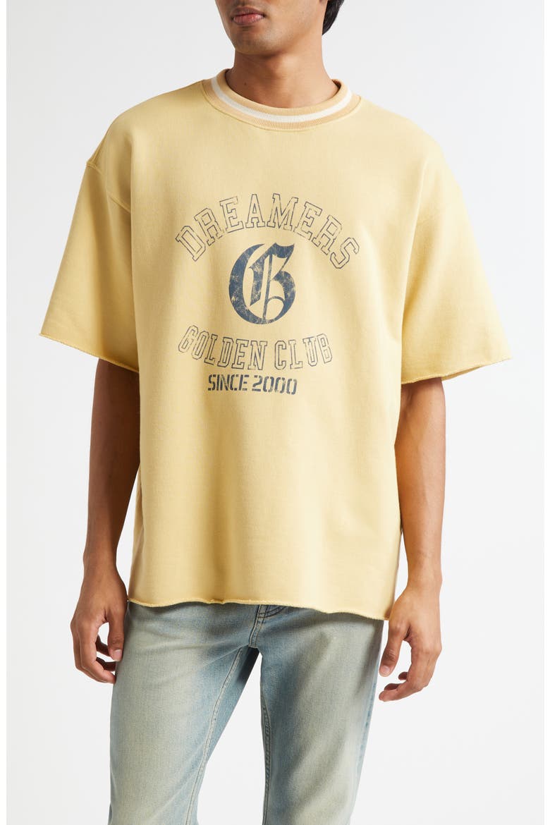 Journey Oversize Shirt Sleeve Graphic Sweatshirt, Main, color, RATTAN