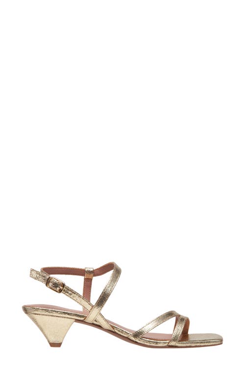 Linea Paolo Cannes Strappy Sandal In Gold