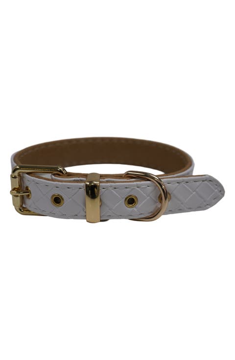 Toga Luxury Dog Collar