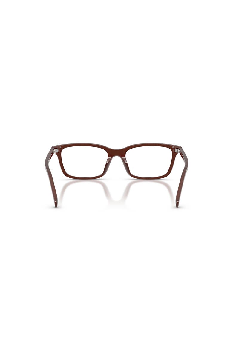 53mm Cat Eye optical glasses, Alternate, color, Brown