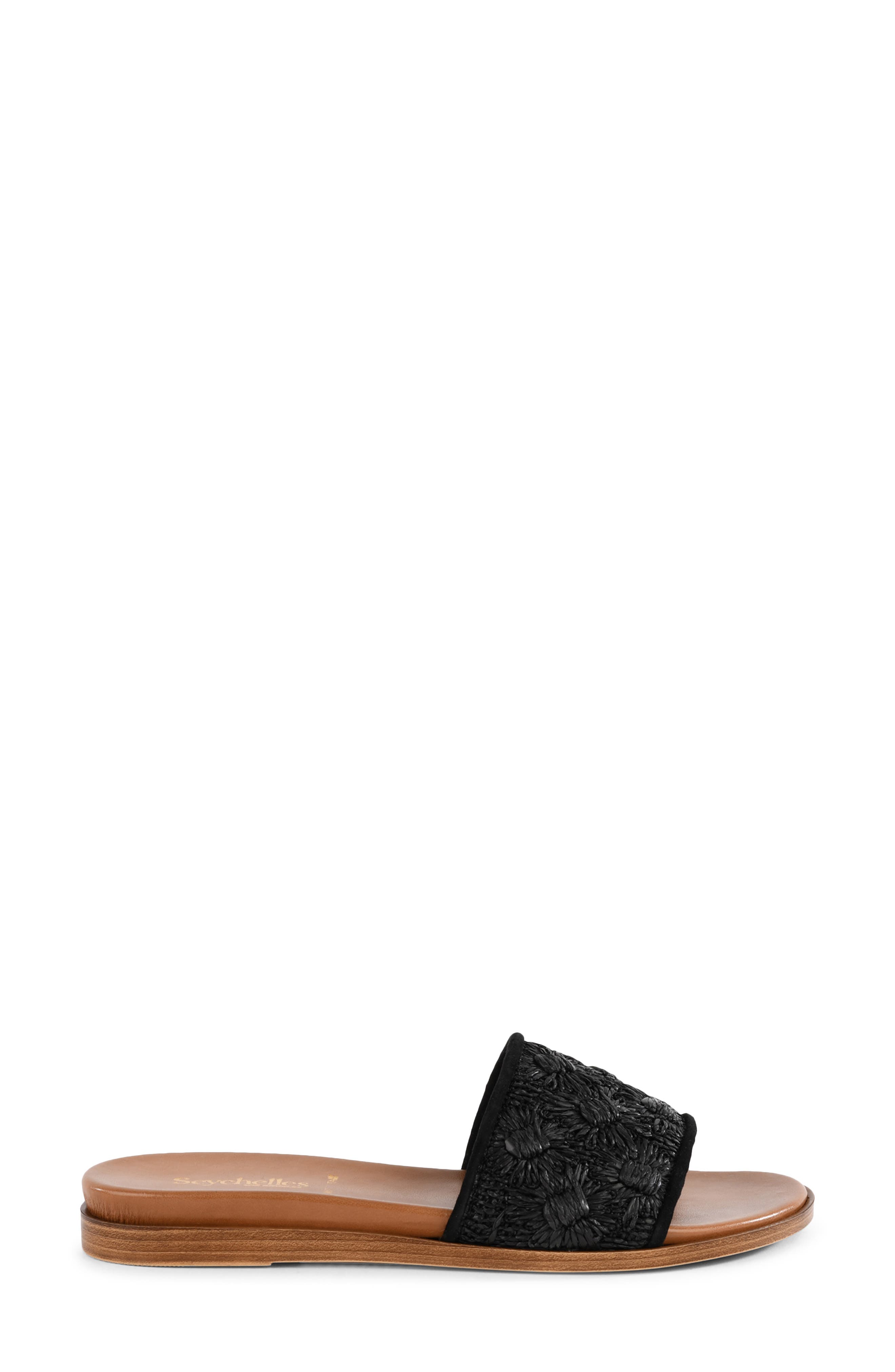 Dakota Slide Sandal, Alternate, color, BLACK