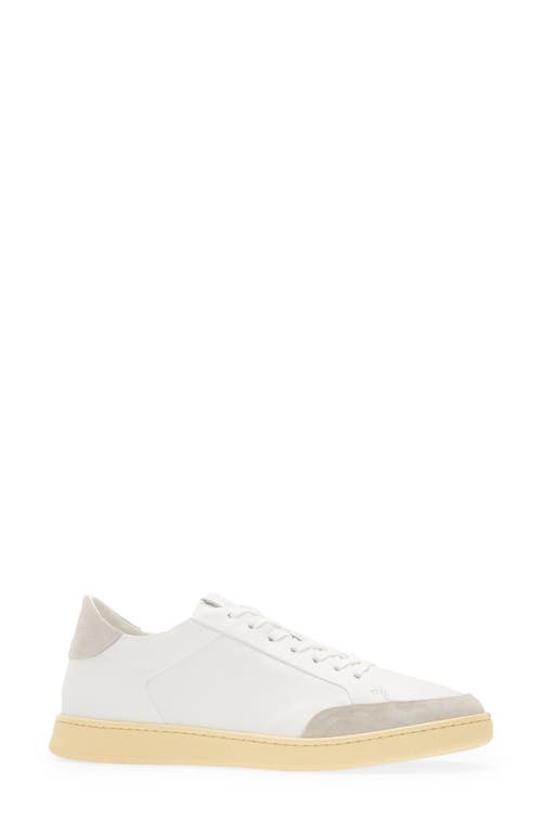 Collegium Pillar Court Sneaker In White