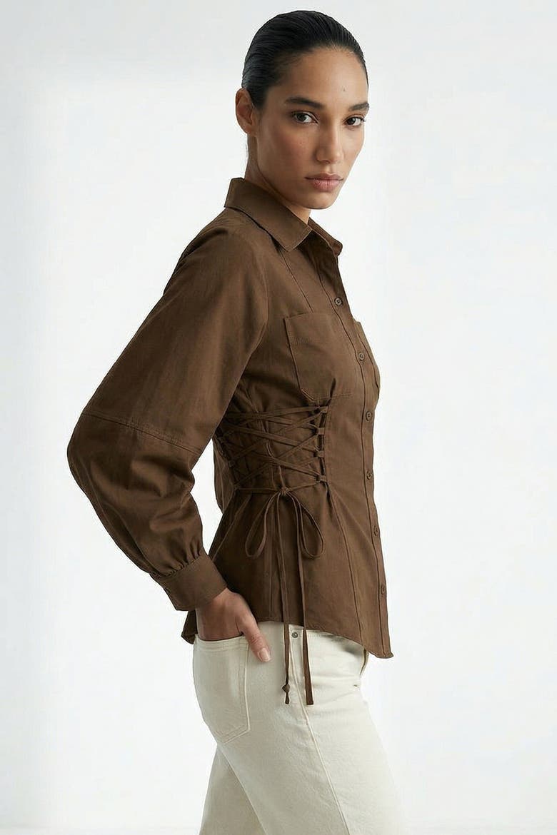 Arcene Fitted Waist Balloon Sleeve Shirt, Alternate, color, Brown