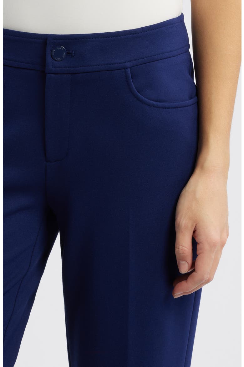 Flat Front Straight Leg Pants, Alternate, color, DISTANT MOUNTAIN