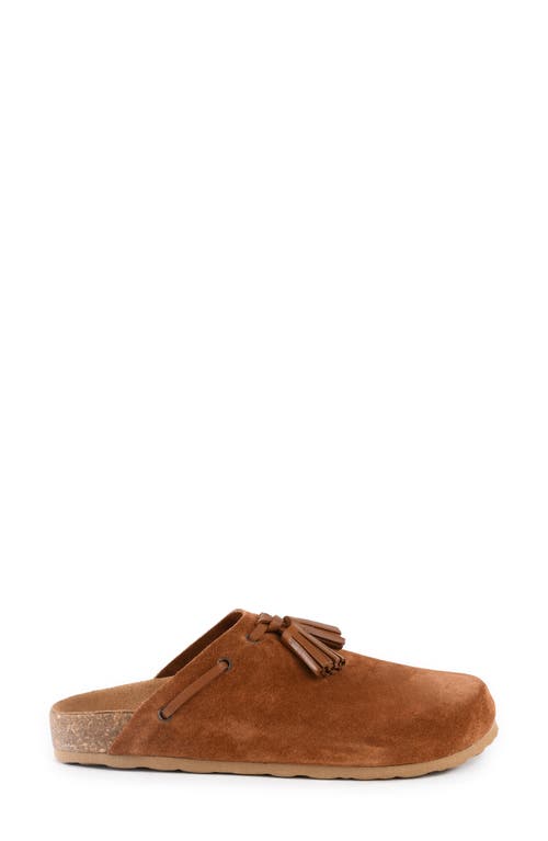 Seychelles Windswept Tassel Clog In Brown