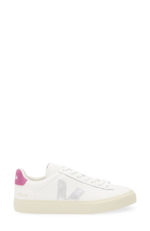Veja Campo Sneaker In Multi