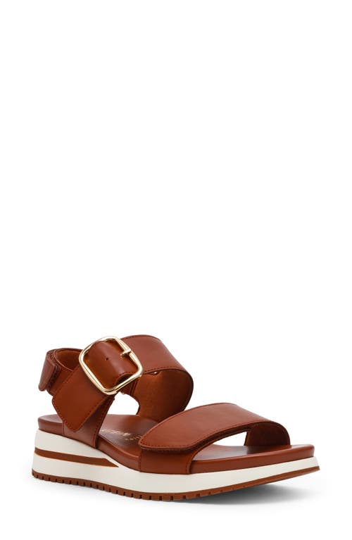 Anne Klein Evanti Ankle Strap Platform Sandal In Multi