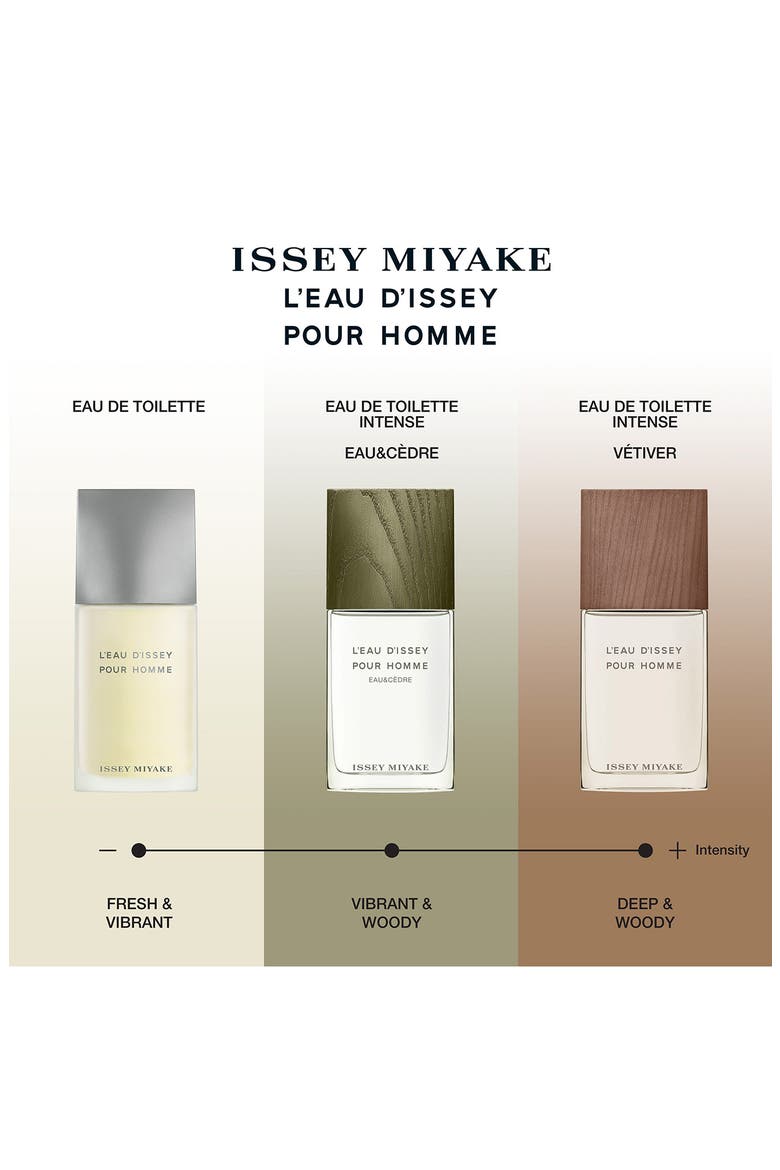 'L'Eau d'Issey Pour Homme' Eau de Toilette Spray, Alternate, color, NO COLOR