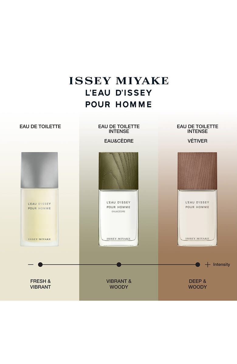 Issey Miyake L'Eau d'Issey Pour Homme Eau de Toilette Spray, Alternate, color, 