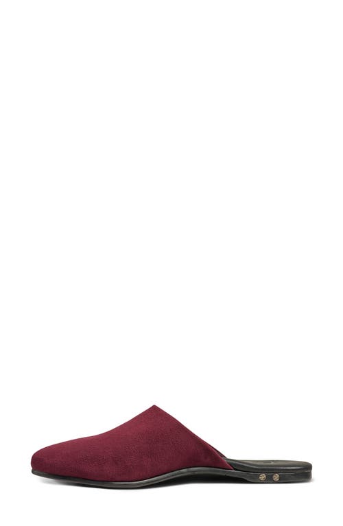 Beek Siskin Mule In Burgundy