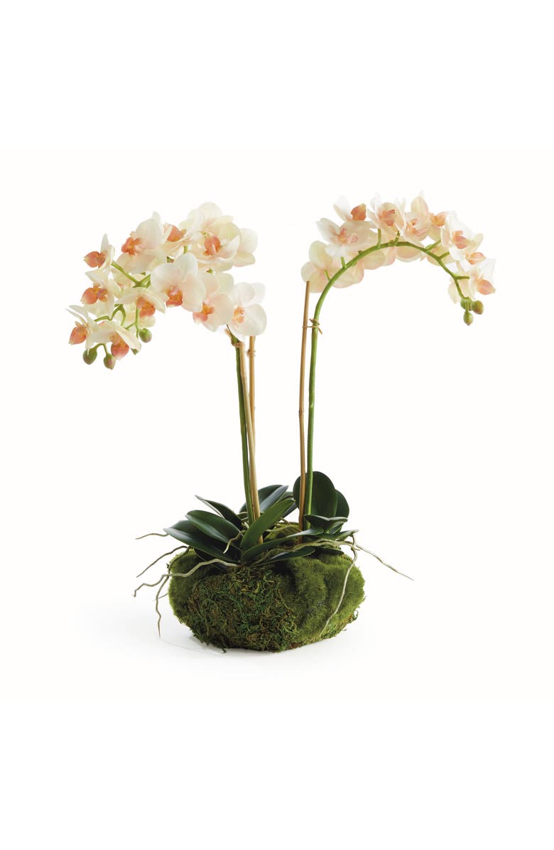 Napa Home & Garden Phalaenopsis Mini Garden Artificial Plant Drop-In, Main, color, Pink