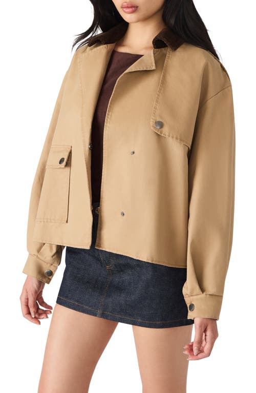 Steve Madden Luisa Twill Jacket In Brown