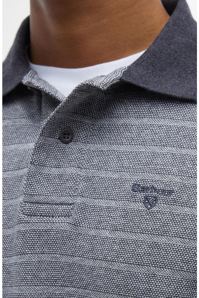 Cleveland Long Sleeve Cotton Rib Polo, Alternate, color, GREY MIX