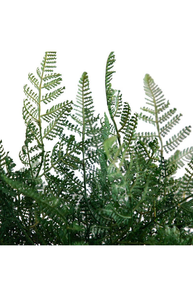 NEARLY NATURAL 17-in Artificial Forest Fern Arrangement in Glass Vase, Alternate, color, Green